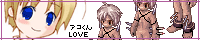 きょうのしゃんこ